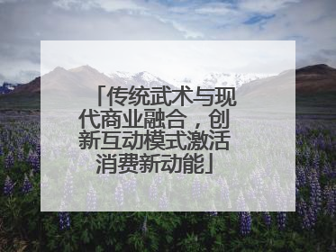 传统武术与现代商业融合，创新互动模式激活消费新动能